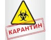 Карантин